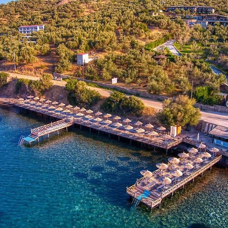 Assos Dionysos Special Class Hotel Adults Only 12 Years Bagian luar foto