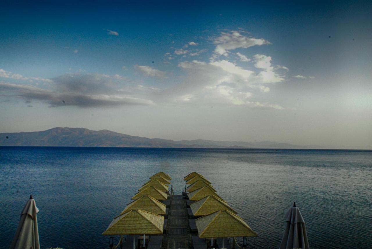 Assos Dionysos Special Class Hotel Adults Only 12 Years Bagian luar foto