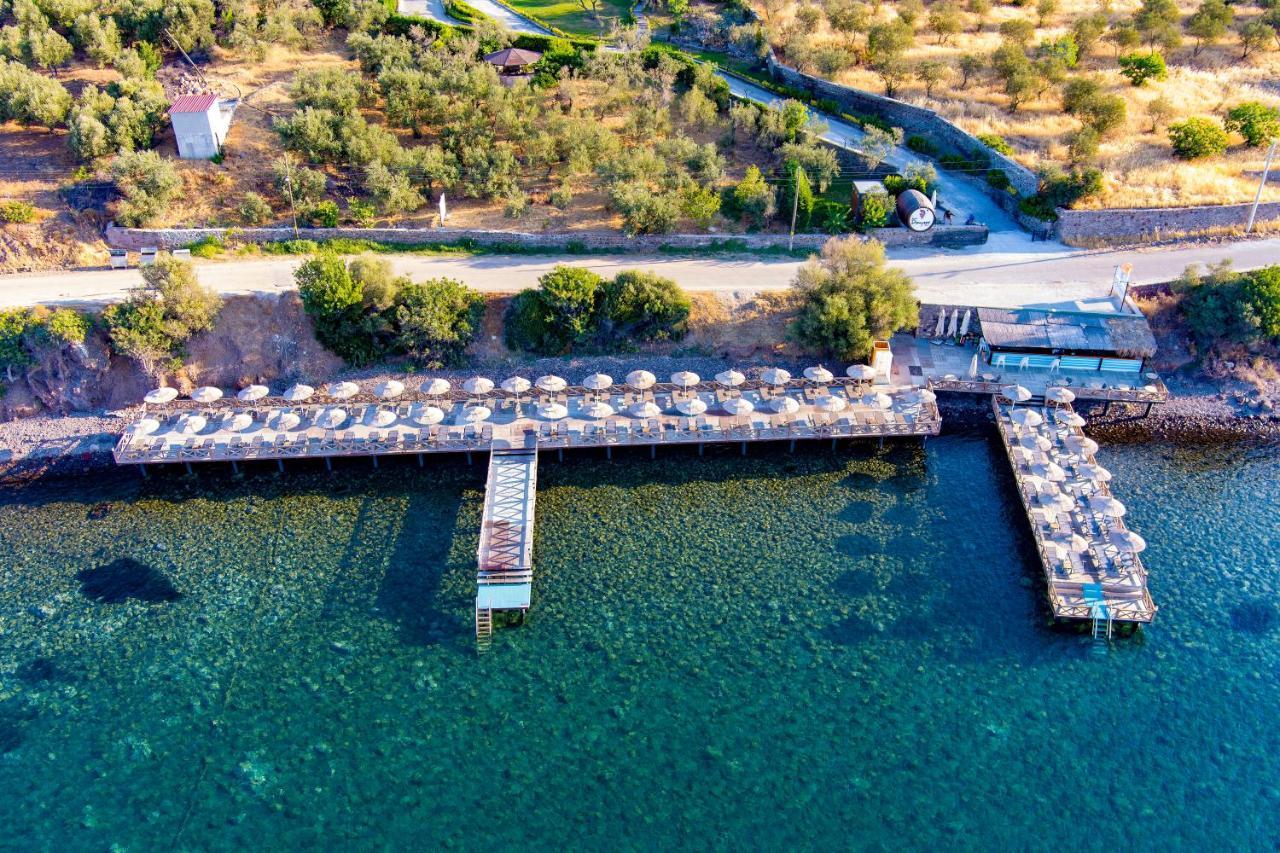 Assos Dionysos Special Class Hotel Adults Only 12 Years Bagian luar foto